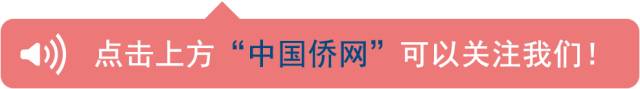 什么时候让你感觉中文实在博大精深？(&#x27;╻&#x27;）꒳ᵒ꒳ᵎᵎᵎ 